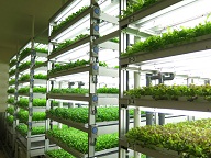 三菱　植物工場.jpg